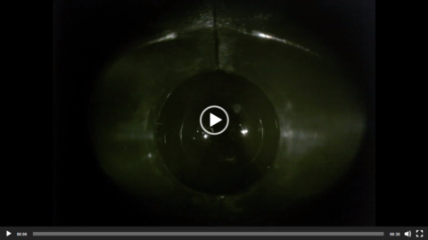 Video Image